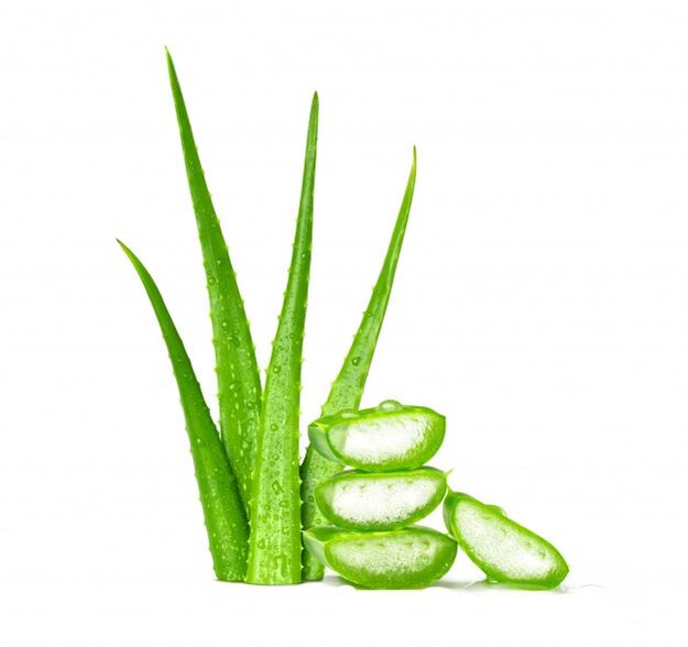 Aloe vera em Men's Defence