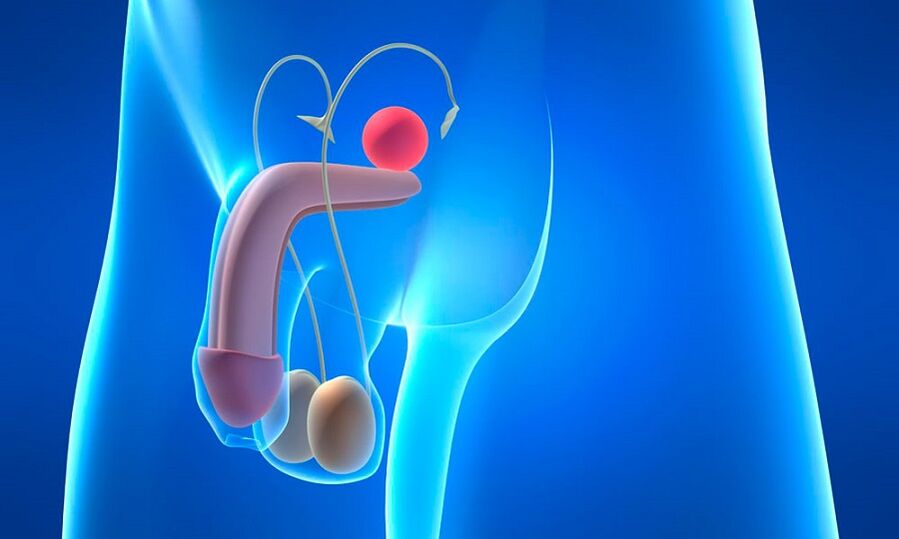 edema da próstata com prostatite